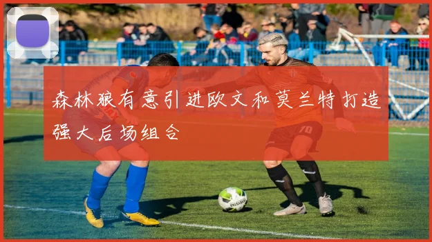 森林狼有意引进欧文和莫兰特打造强大后场组合